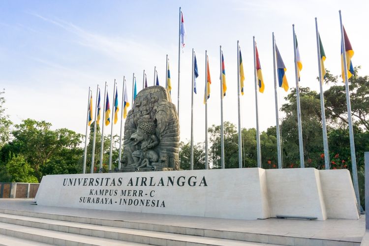 universitas airlangga accurate